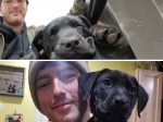 Man Born Deaf Adopts Deaf Puppy And Teaches Him Sign Language