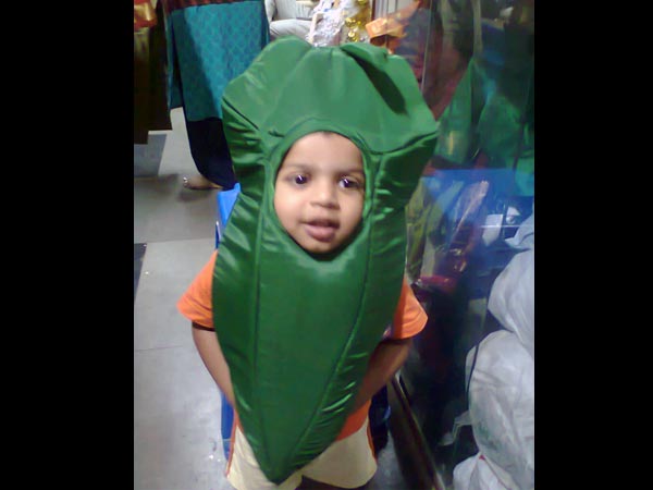 lady finger fancy dress