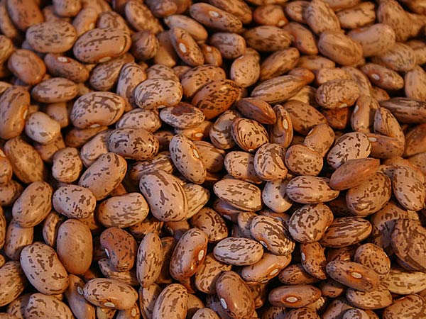 Weight Loss Meal Programs Delivered Bens - Suer Food | Food Low Urine Diet Low Glyceic Foods Protein Diet Plan Menu