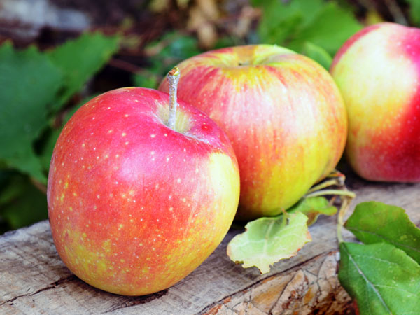 Effective Foods For Liver Regeneration Boldsky Com