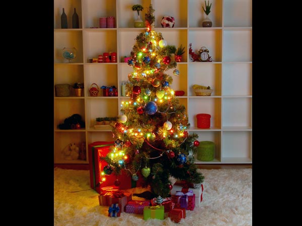 meaning significance of the christmas symbols boldsky com meaning significance of the christmas symbols boldsky com