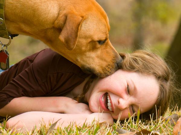 Relationship Lessons You Can Learn From Pets - Boldsky.com