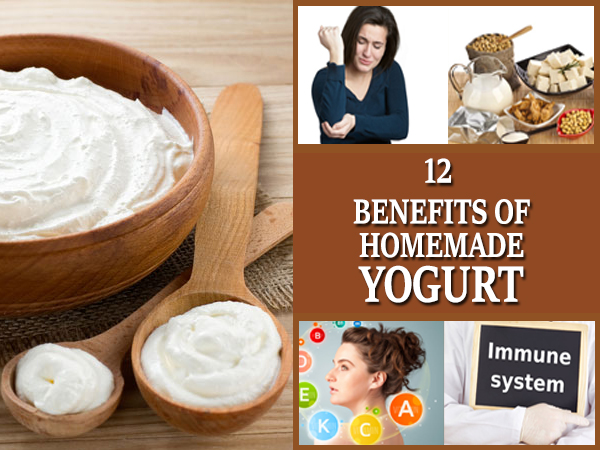 12 Benefits Of Homemade Yogurt Boldsky Com