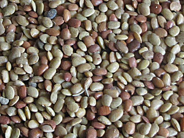 Array