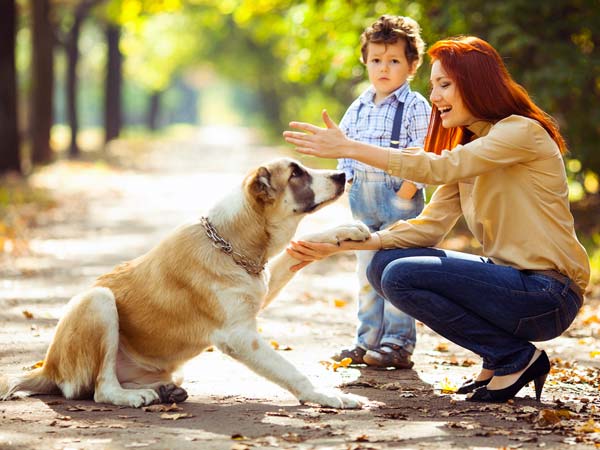 View of Ways To Calm Your Pets Anxiety - Boldsky.com
