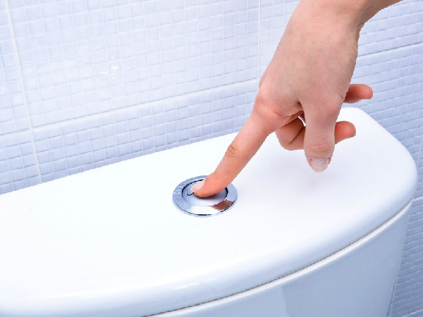 Toilet studies image