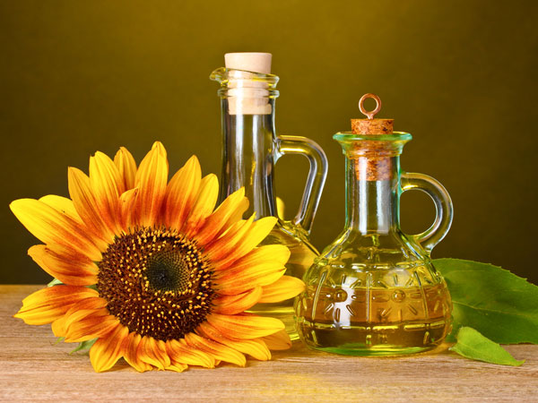 Top Cooking Oils to Use for Weight Loss - Steel Supplements