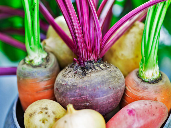 Foods To Eat Everyday For Healthy Hair Foods To Eat Everyday For Healthy Hair