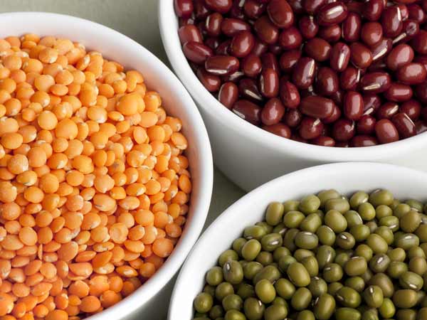 Protein-Rich Foods For Pregnancy - Boldsky.com Protein-Rich Foods For Pregnancy - Boldsky.com