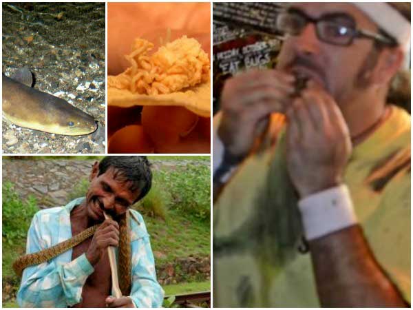 List Of Animals That Are Eaten Alive