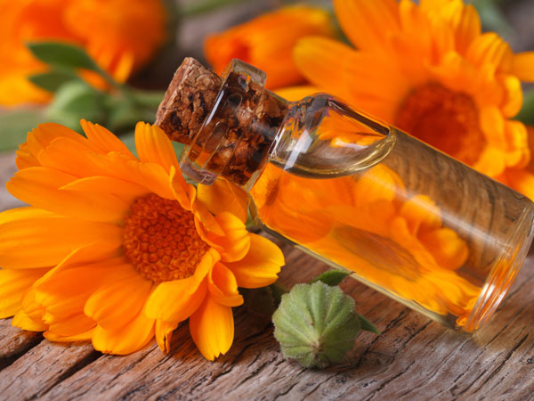 Calendula Oil Or Marigold Oil: It's Health Benefits - Boldsky.com