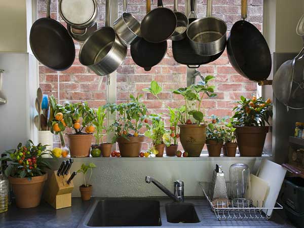 How To Arrange Utensils In A Small Kitchen Boldsky Com Arrange Utensils In A Small Kitchen, How To Arrange Utensils In Small Kitchen