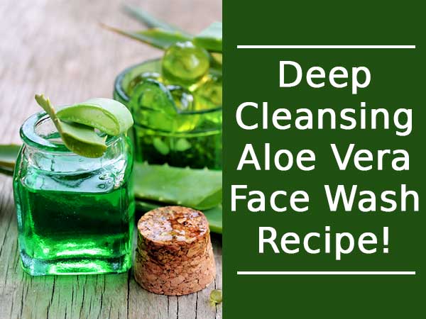 diy aloe vera face cleanser