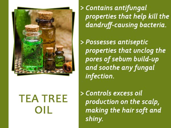 tea tree water diy