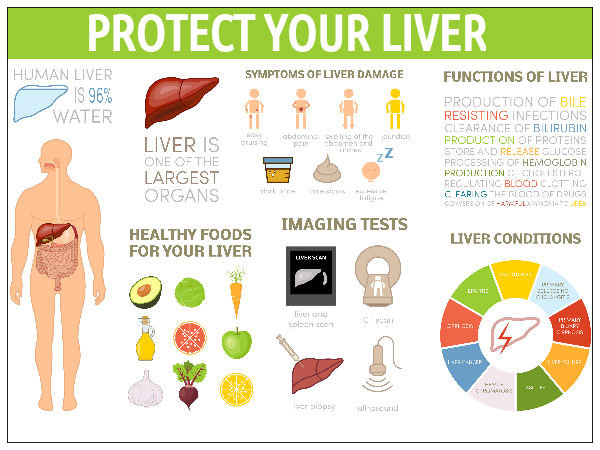 How To Improve Liver Function Boldsky