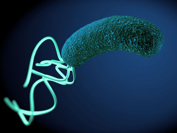 Remedies For H Pylori Bacteria Infection - Boldsky.com