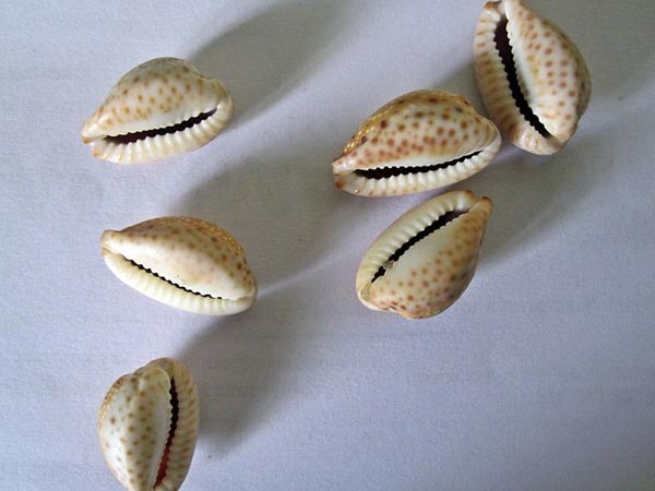 Array