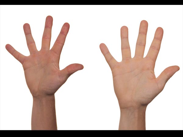 Palm Lines Reveal The Deepest Secrets!