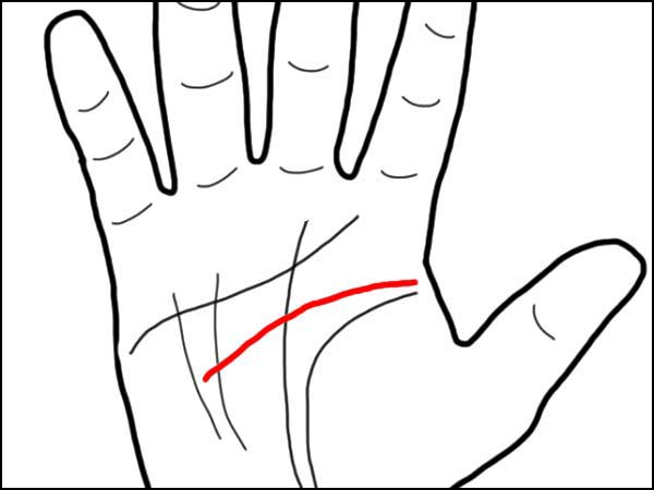 Lines On Your Palm That Reveal The Secrets Of Your Life 