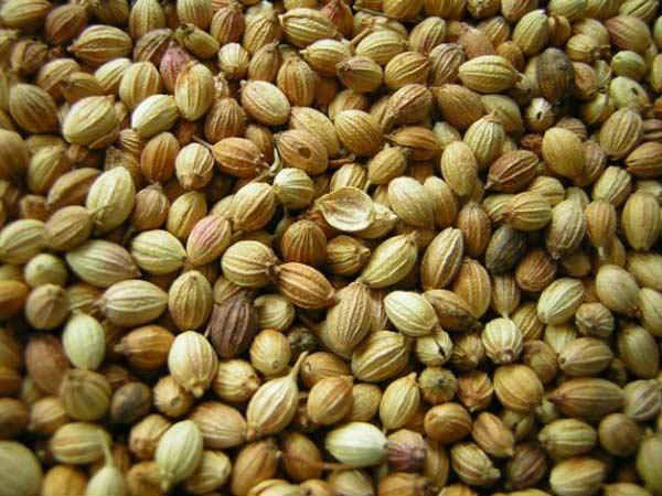 Indian Foods To Increase Good Cholesterol Indian Foods To Increase Good Cholesterol