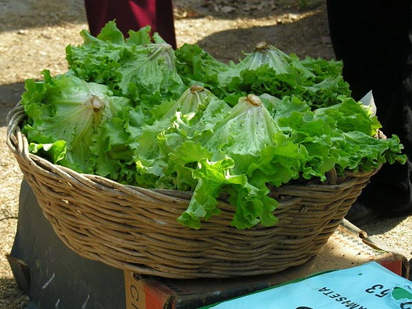 These Foods Can Help Boost Men’s Libido &amp; Increase Stamina