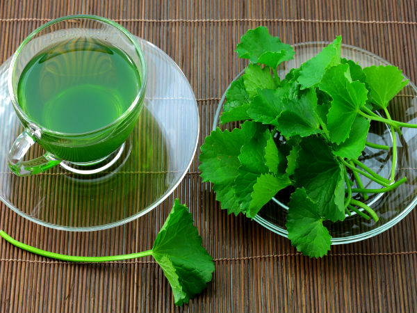 Parsley Tea For Cat Uti Relief Reference: Effective Homemade Remedy To Treat Urinary Tract Infection
