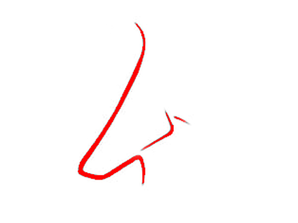 Array
