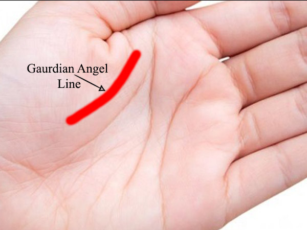 Do You Know Which Is Your Guardian Line On The Palm ...