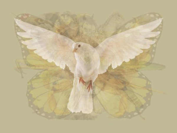 Merpati