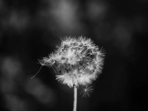 Array