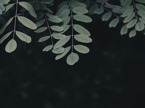 Array