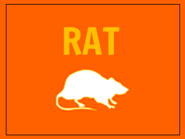 new year 2016 predictions for rat new year 2016 predictions for rat 28 images rat zodiac new year 2016 predictions for rat new year 2016 predictions for rat 28 images rat zodiac