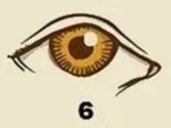 Nomor 7