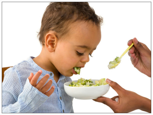 Baby Refuses To Eat Baby Food Baby Refuses To Eat Baby Food