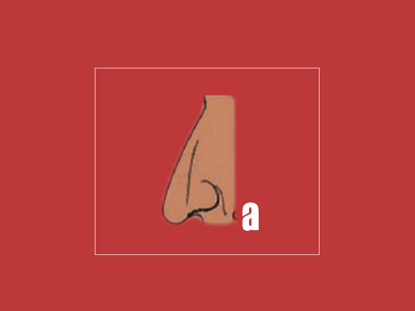 Array