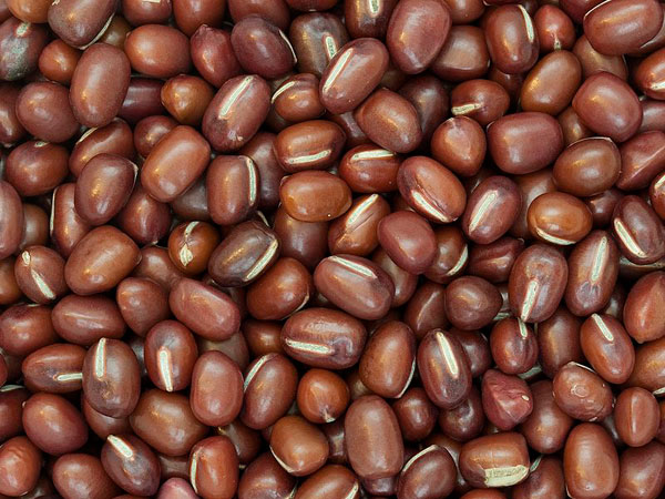 Panaimaram