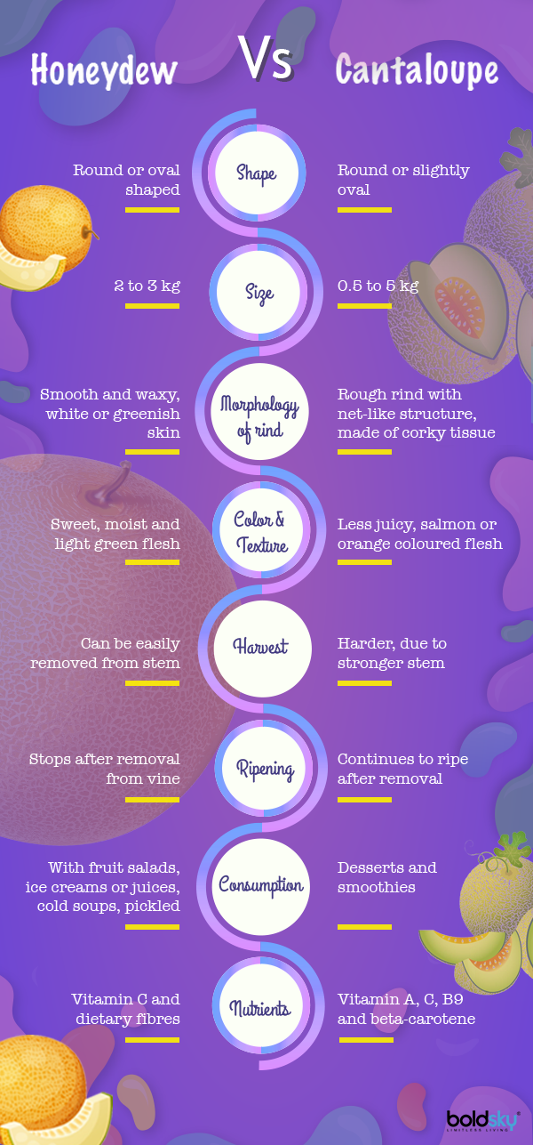 Honeydew Nutritional Value, Health Benefits and Recipes