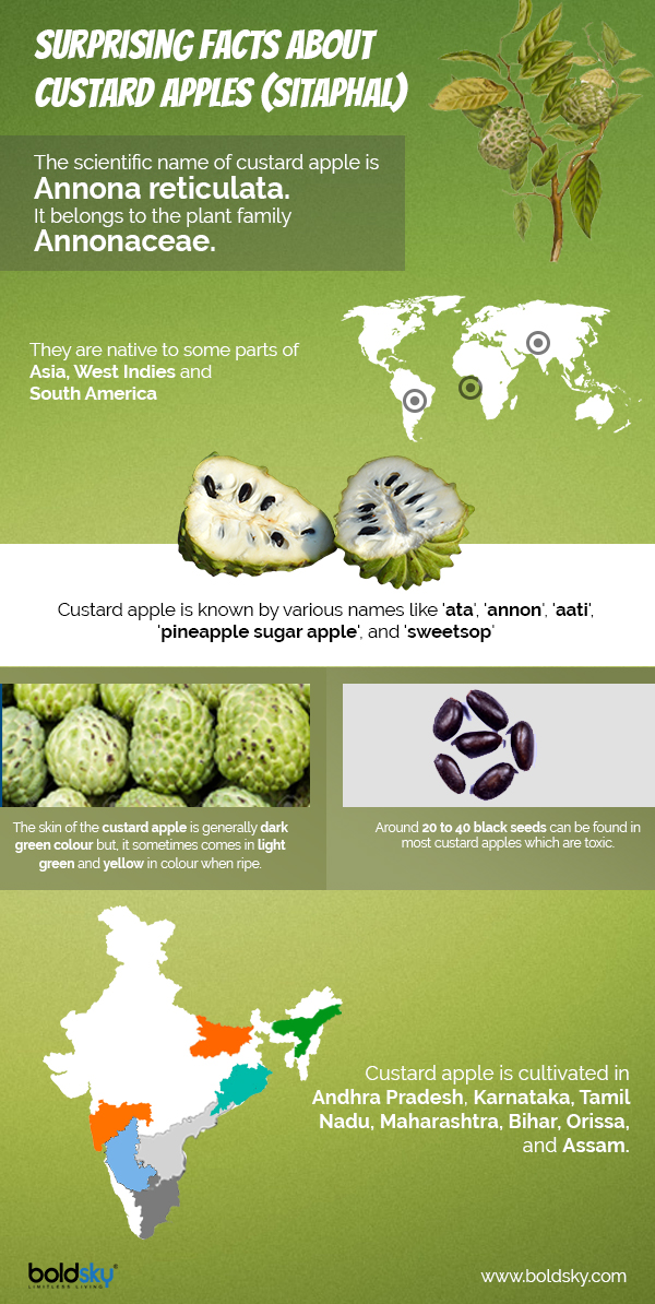 12 Nutritional Health Benefits Of Custard Apple And How To Consume
