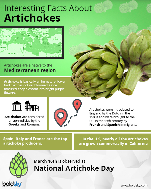 10 Amazing Nutritional Health Benefits Of Artichokes