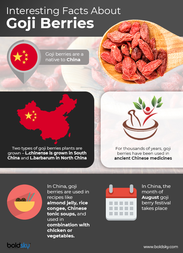 10 Health Benefits Of Goji Berries (Wolfberries)