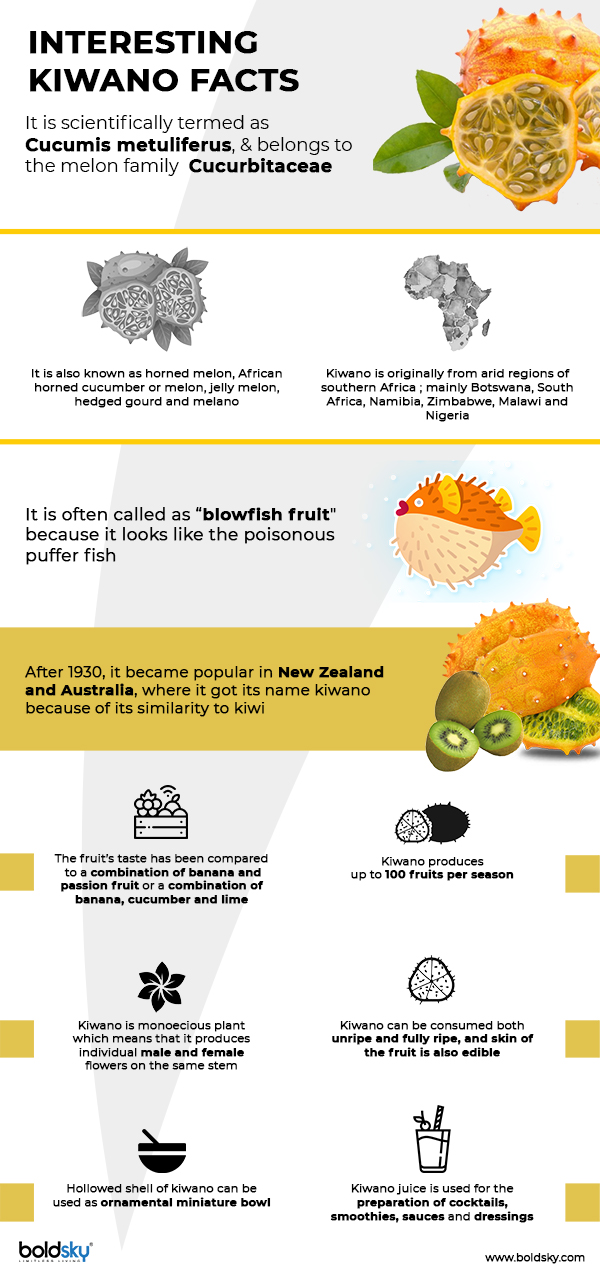 17 Lesser Known Benefits Of Kiwano (Horned Melon)
