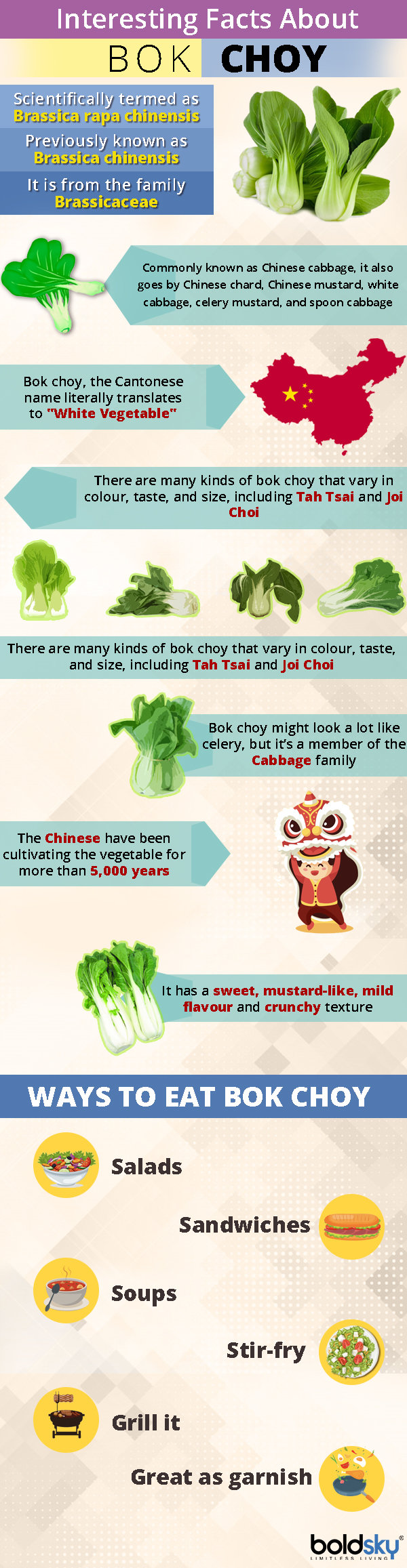 Bok Choy (Chinese Cabbage) Nutrition, Benefits & Recipes