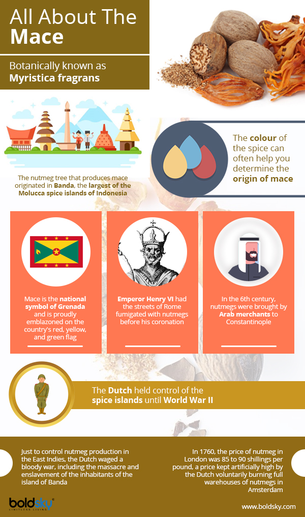 14 Fascinating Benefits Of Mace Spice (Javitri)