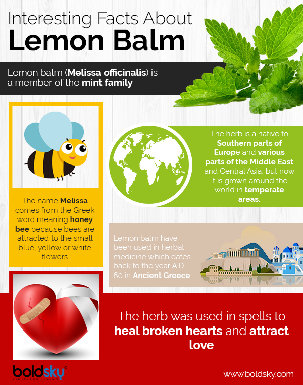 From Treating Insomnia To Preventing Cancer, Lemon Balm Has Fantastic