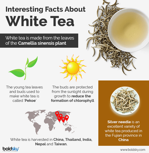 11 Amazing Health Benefits Of White Tea