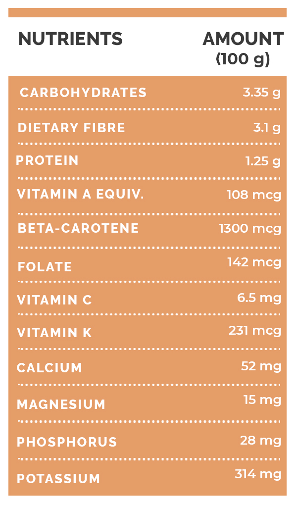 Did You Know These Amazing Health Benefits Of Endive Boldsky Com