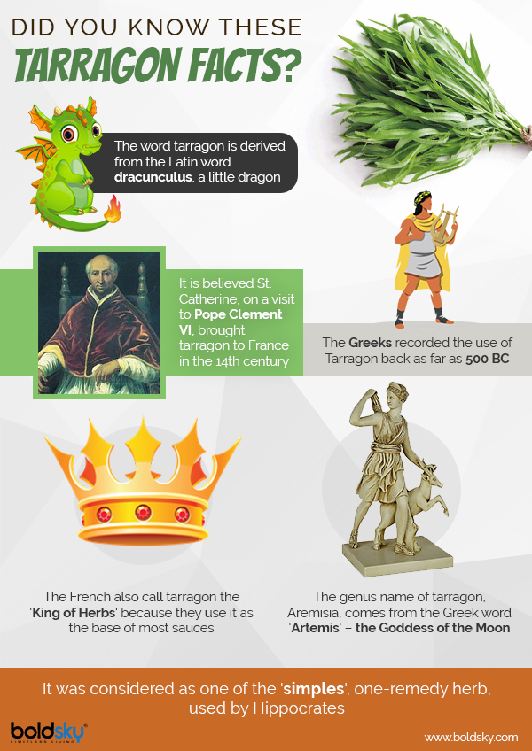 10 Surprising Health Benefits Of Tarragon