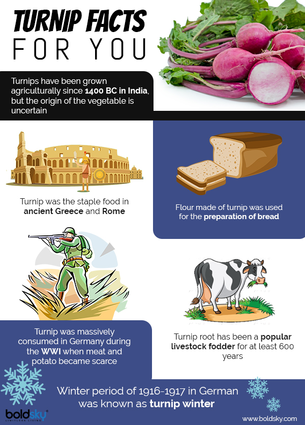 10 Health Benefits Of Turnips, Nutrition, Recipes And Caution