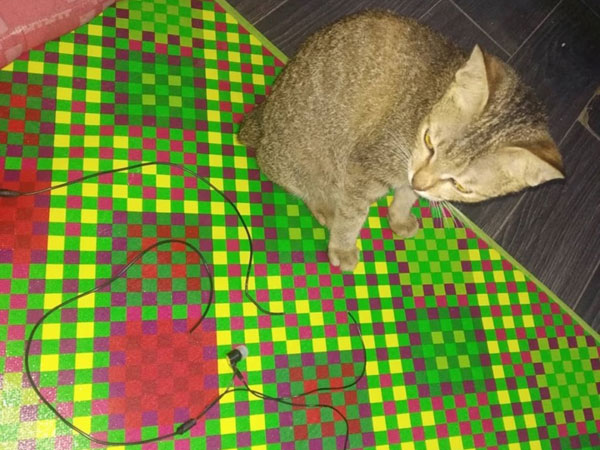 Array