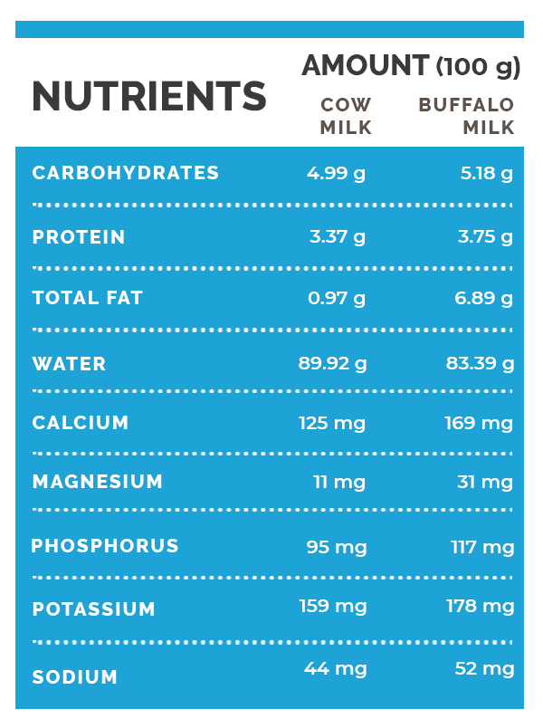 Cow Milk Vs Buffalo Milk Which Is Healthier Boldsky